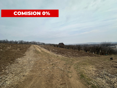 Teren de vânzare în Ocna Sibiului – Locație premium lângă lacurile sărate