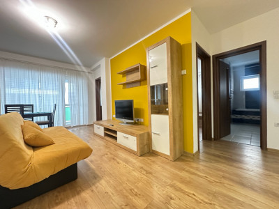 Apartament 3 camere, mobilat si utilat - Str. Doamna Stanca