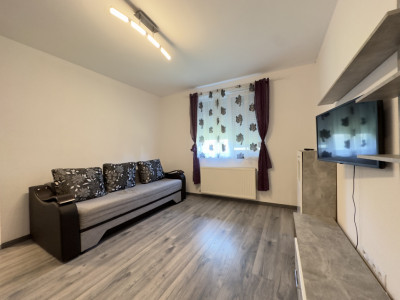 Apartament cu o camera, Str. Pictor Brana