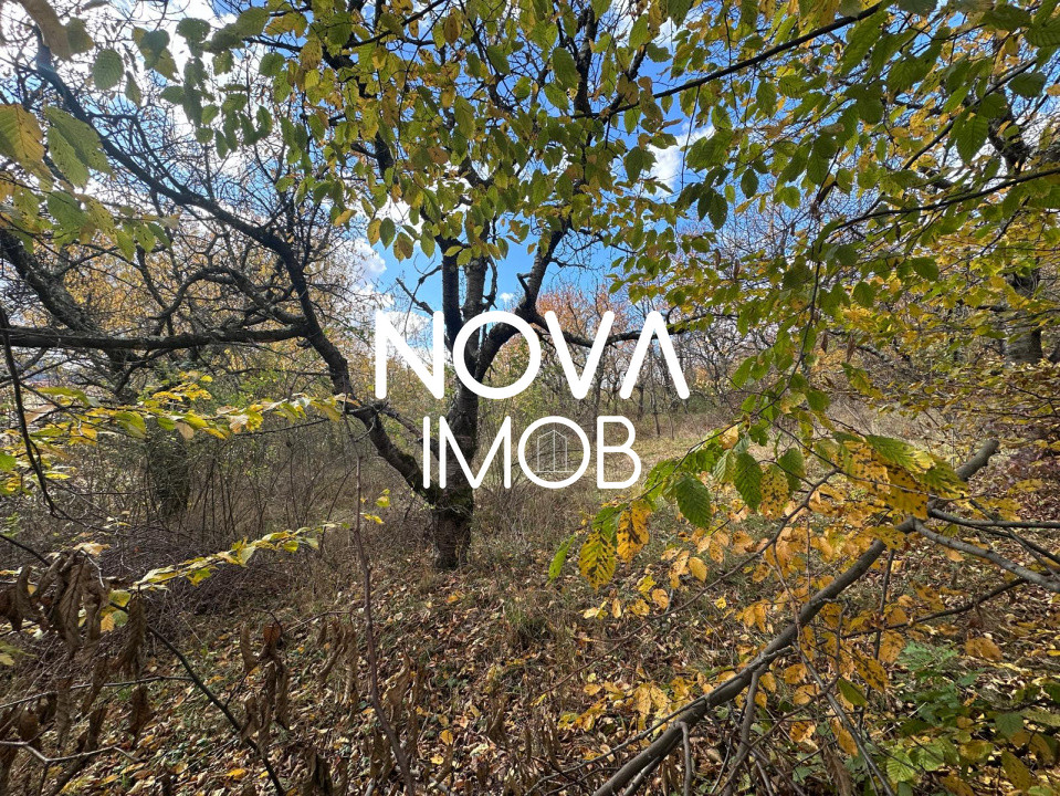 Teren intravilan - Str. Ciresilor, Cisnadioara