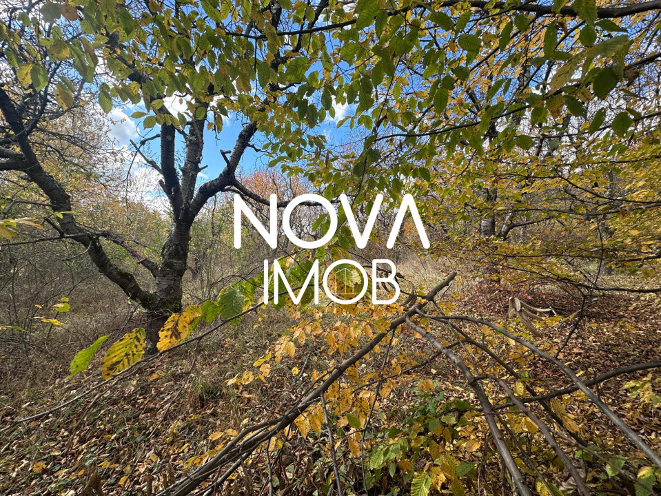 Teren intravilan - Str. Ciresilor, Cisnadioara