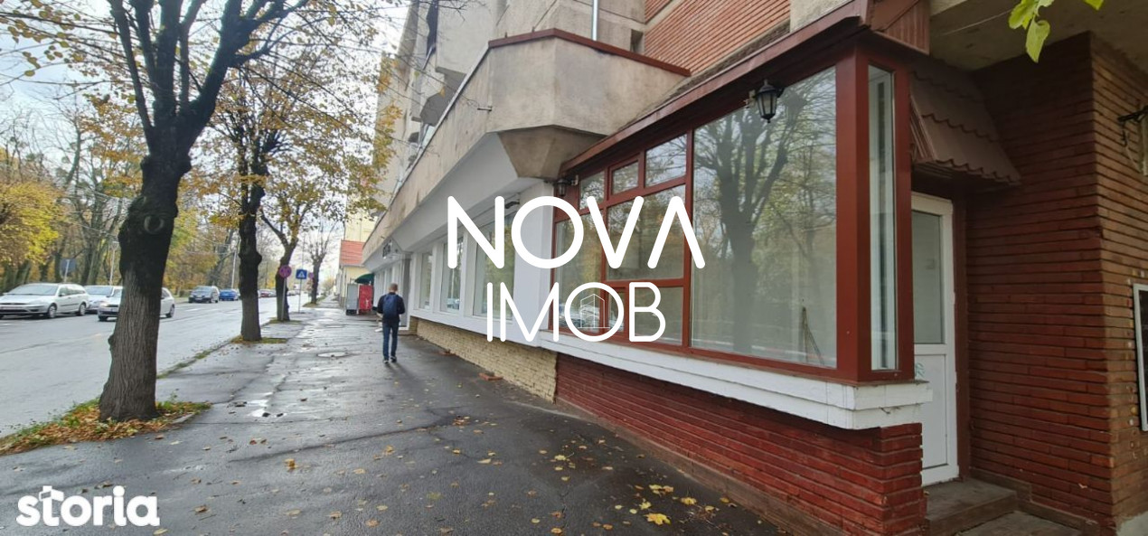 Spatiu alimentatie publica - Bulevardul Victoriei