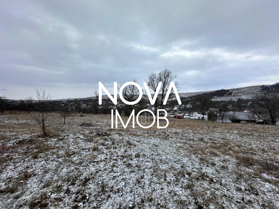 Casa individuala cu teren generos – 8.800 mp – Tichindeal, jud. Sibiu