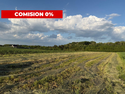 Teren de vânzare în Ocna Sibiului – Locație premium lângă lacurile sărate