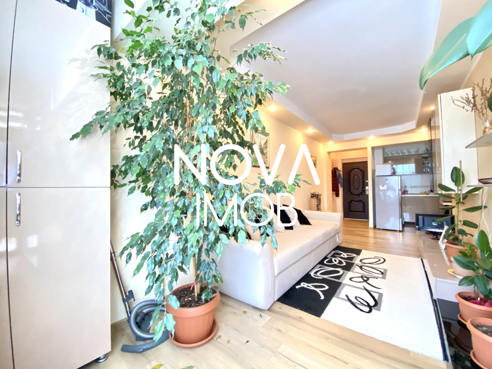 Apartament 2 camere Doamna Stanca pentru inchiriat