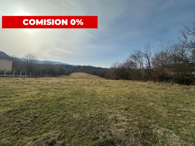 Teren intravilan de vanzare - 1028 mp - Tocile