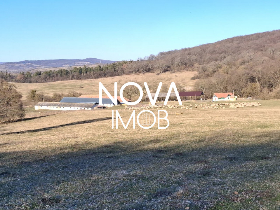 Ferma complet echipata de vanzare – zona Agnita, judetul Sibiu