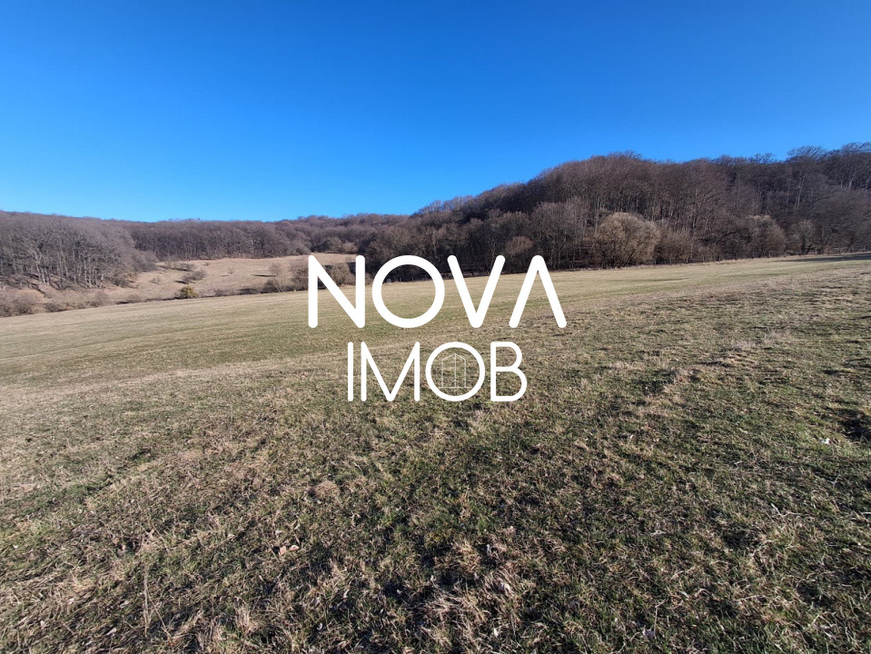 Ferma complet echipata de vanzare – zona Agnita, judetul Sibiu