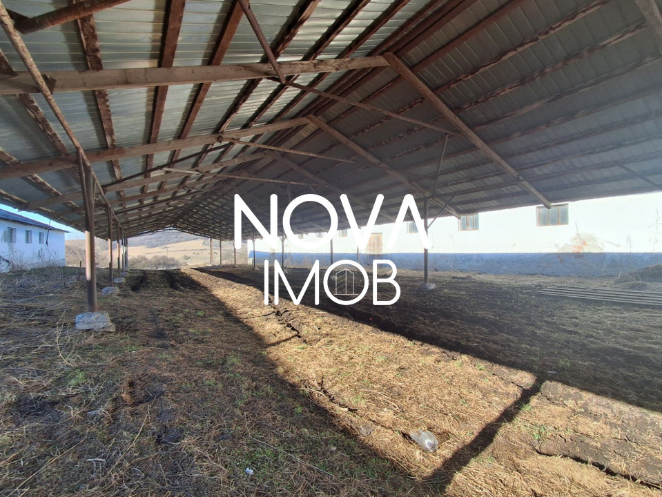 Ferma complet echipata de vanzare – zona Agnita, judetul Sibiu