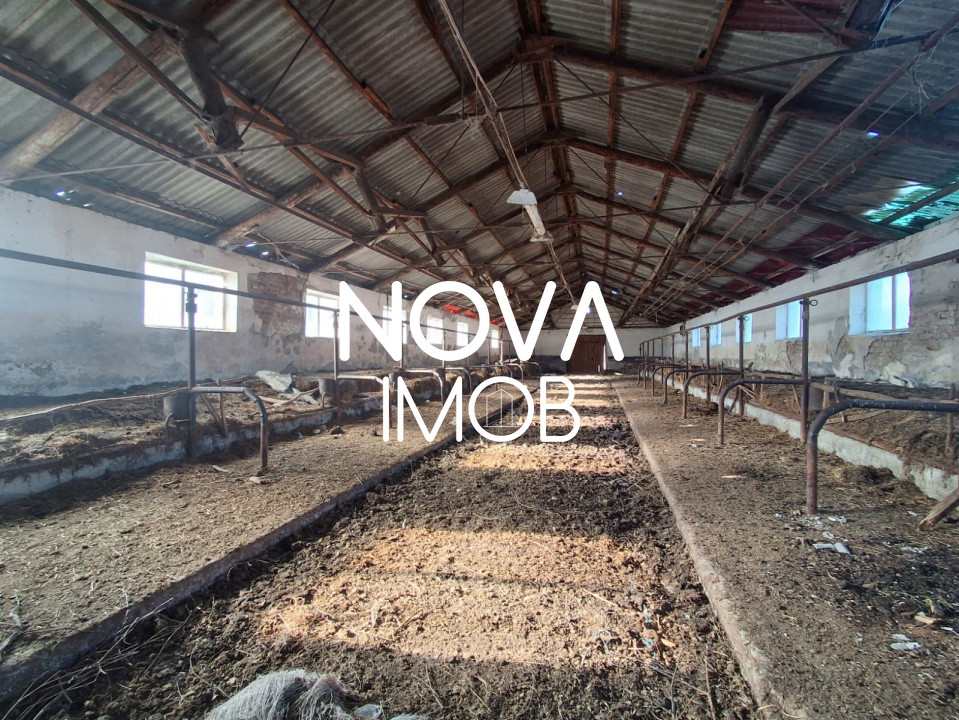 Ferma complet echipata de vanzare – zona Agnita, judetul Sibiu