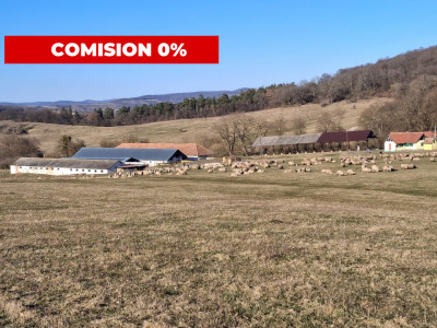 Ferma complet echipata de vanzare – zona Agnita, judetul Sibiu