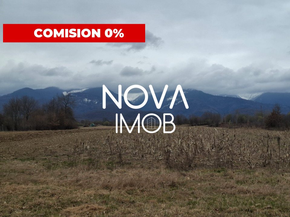 Teren extravilan de vanzare - Arpasul de Sus