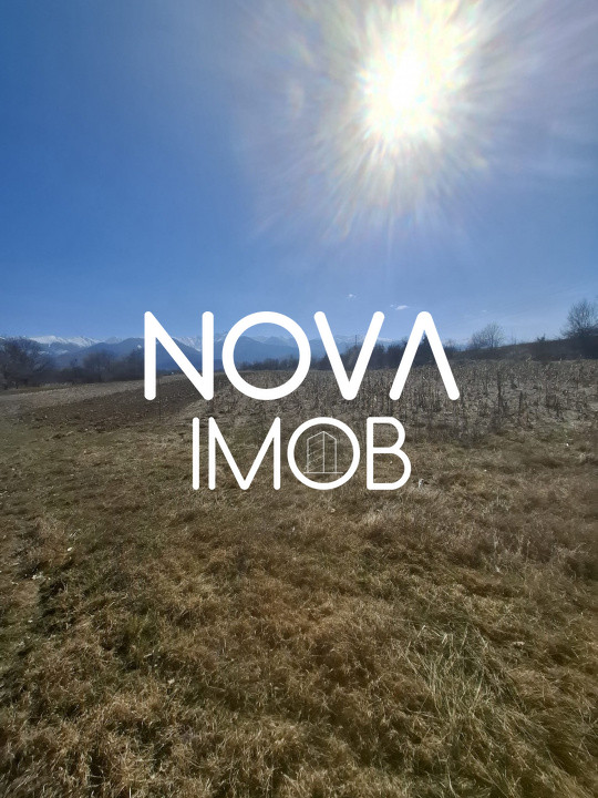 Teren extravilan de vanzare - Arpasul de Sus