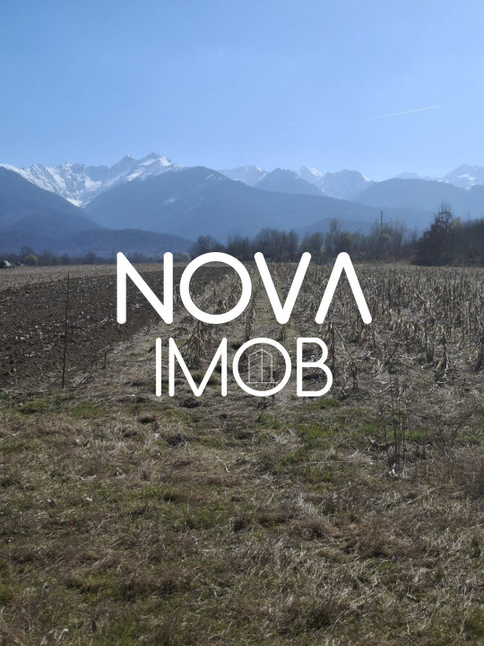 Teren extravilan de vanzare - Arpasul de Sus