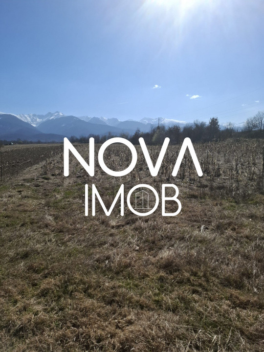 Teren extravilan de vanzare - Arpasul de Sus