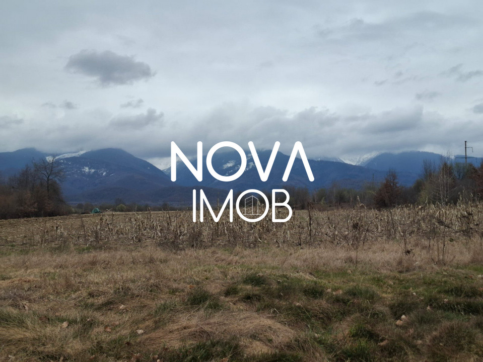 Teren extravilan de vanzare - Arpasul de Sus