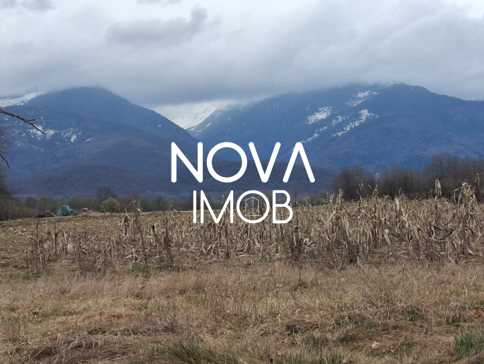 Teren extravilan de vanzare - Arpasul de Sus