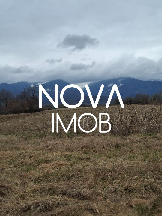 Teren extravilan de vanzare - Arpasul de Sus