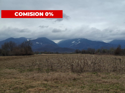 Teren extravilan de vanzare - Arpasul de Sus