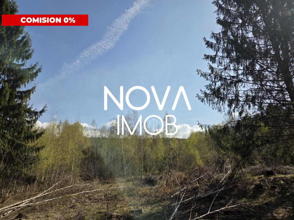 Teren intravilan de vanzare - Vistisoara