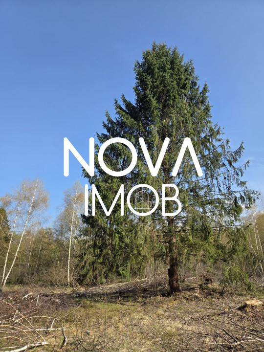 Teren intravilan de vanzare - Vistisoara