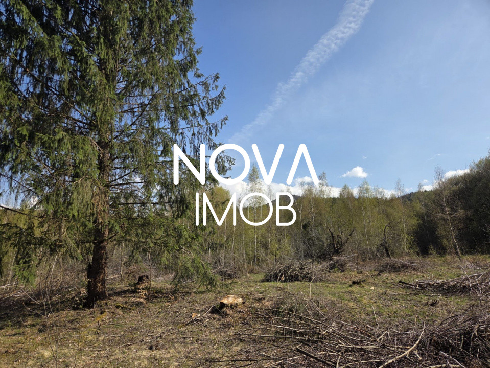 Teren intravilan de vanzare - Vistisoara