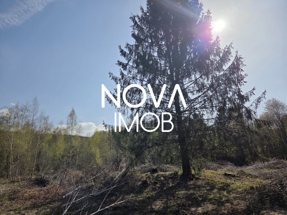 Teren intravilan de vanzare - Vistisoara