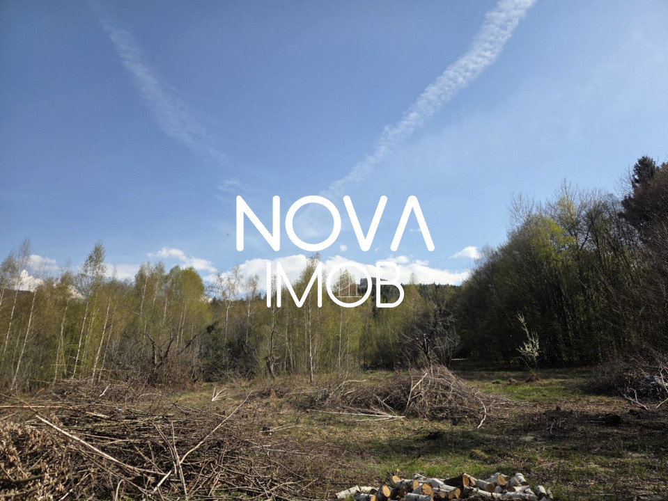 Teren intravilan de vanzare - Vistisoara