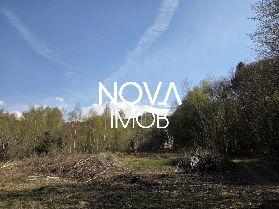 Teren intravilan de vanzare - Vistisoara