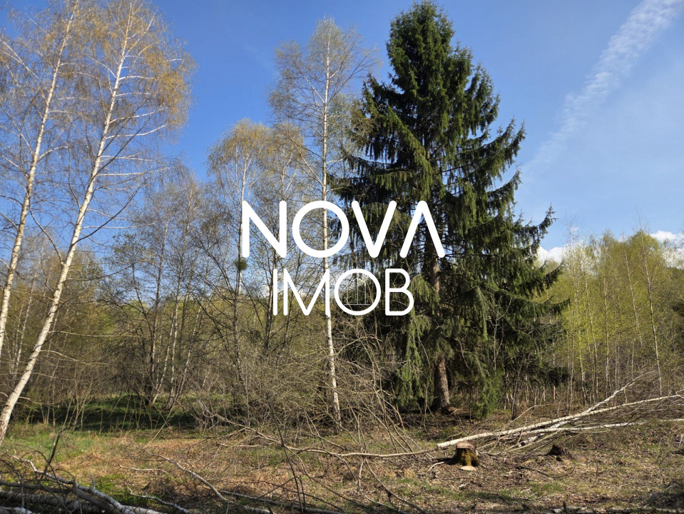 Teren intravilan de vanzare - Vistisoara