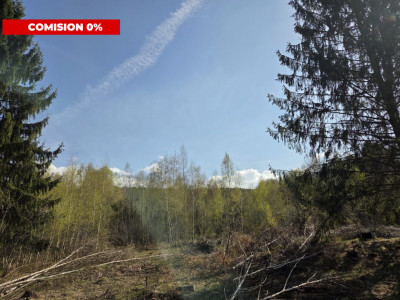 Teren intravilan de vanzare - Vistisoara