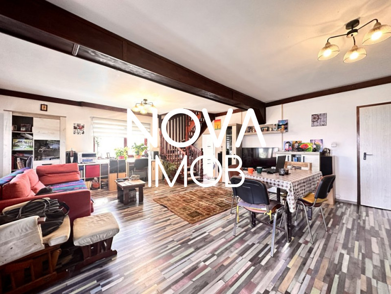 Casa individuala, 946 mp teren, potential turistic, Daia Noua
