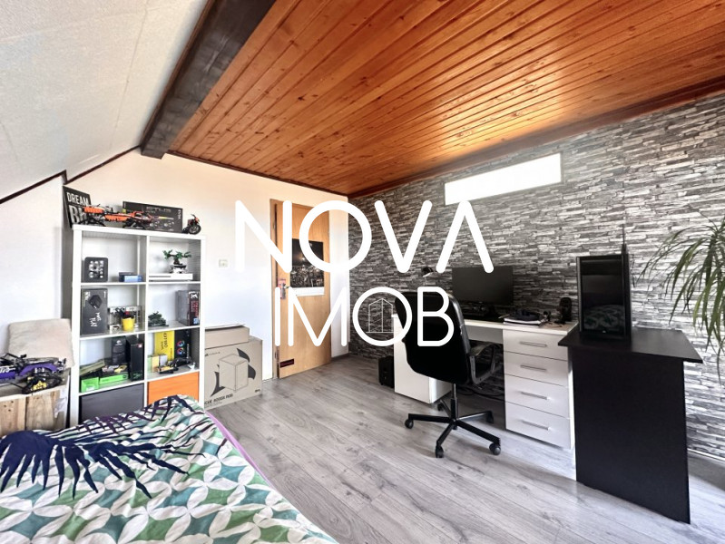 Casa individuala, 946 mp teren, potential turistic, Daia Noua