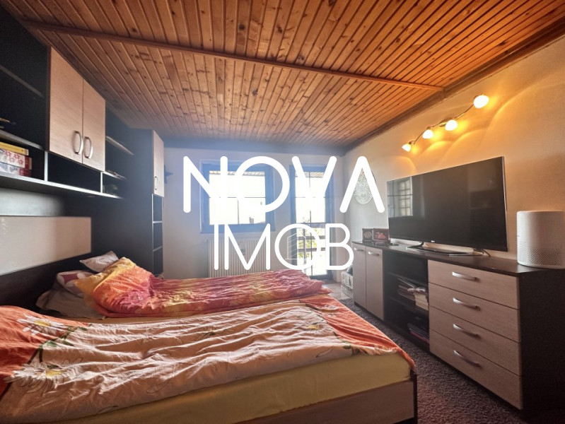 Casa individuala, 946 mp teren, potential turistic, Daia Noua