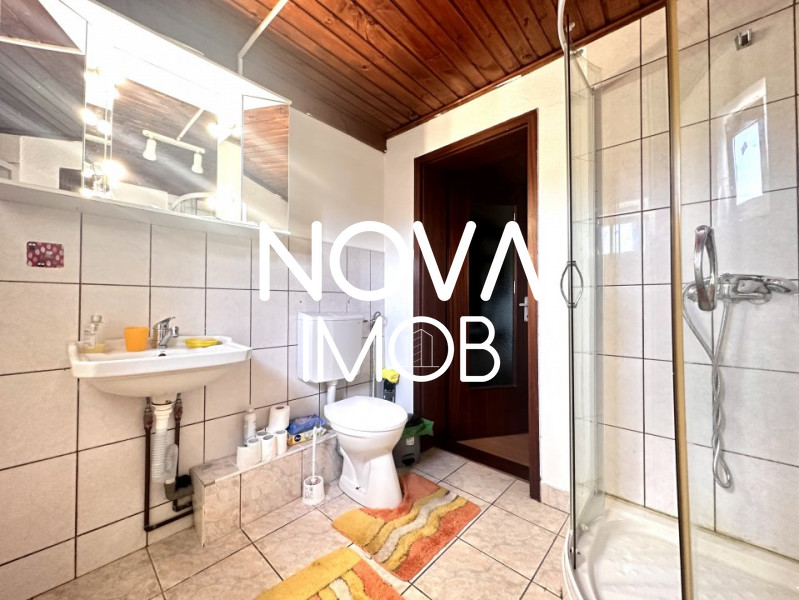 Casa individuala, 946 mp teren, potential turistic, Daia Noua
